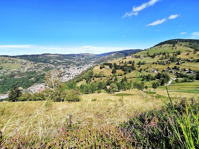 Trail circuit n°1 les bouchaux à La Bresse