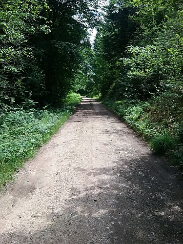 N°25 - le sentier du bien-etre