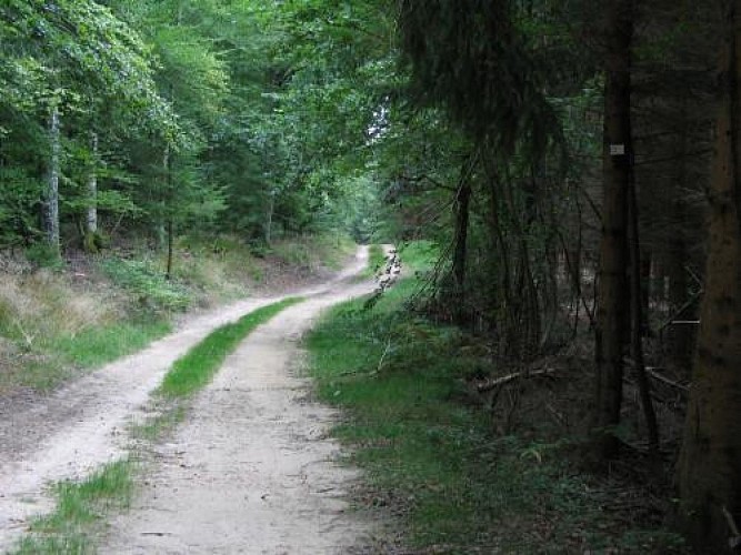Circuit de la Feigne orientale