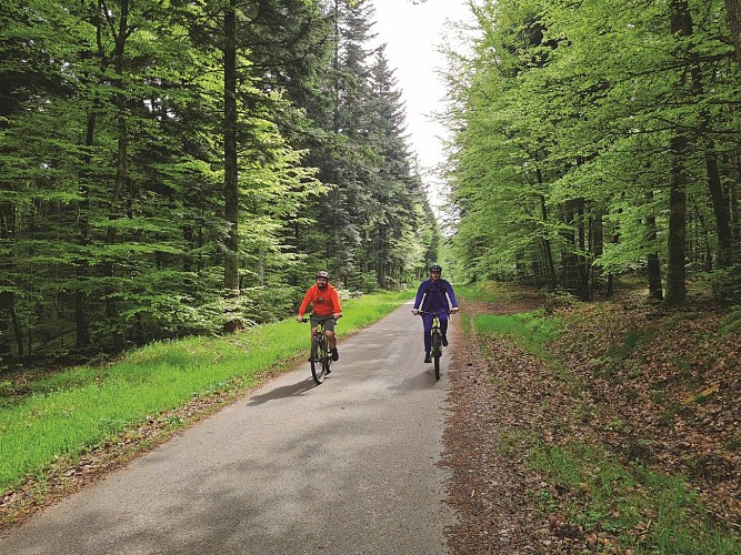 Heritage loop #16 - The Vologne Valley