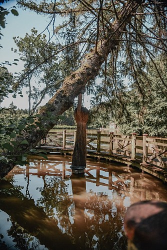 Étangs de Pointhaie à Bruyères, un écrin de verdure propice à la balade et à la détente.