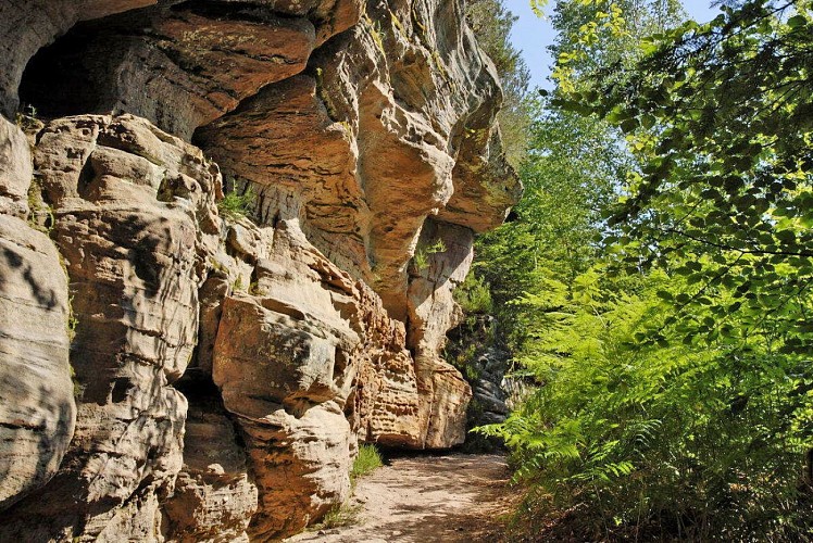 Roches de Pointhaie à Bruyères, un écrin de verdure propice à la balade et à la détente.