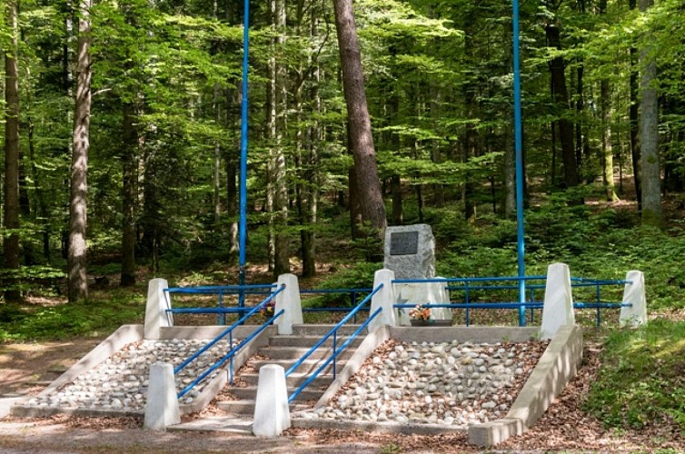 Monument US Bruyères