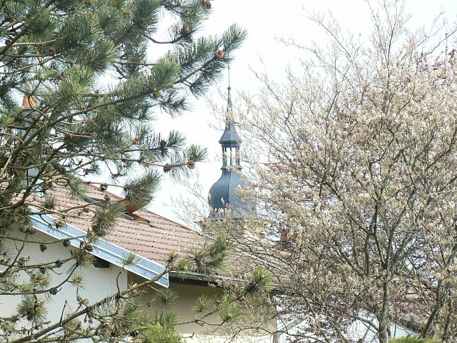 N°8 - the pierrepont nonzeville loop