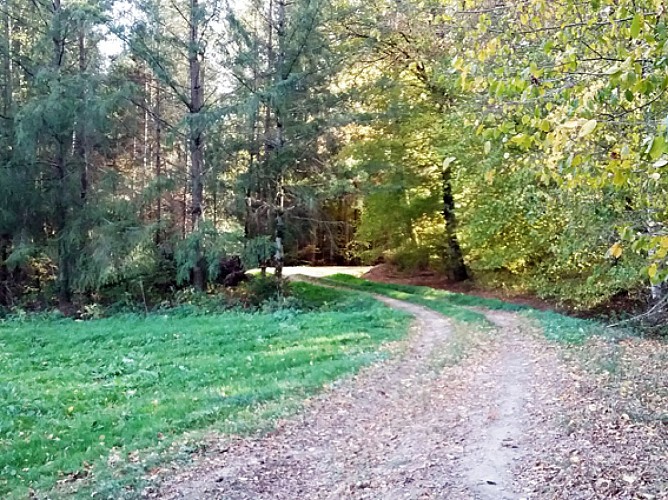 Rando n°7 - Boucle Pierrepont-Nonzeville