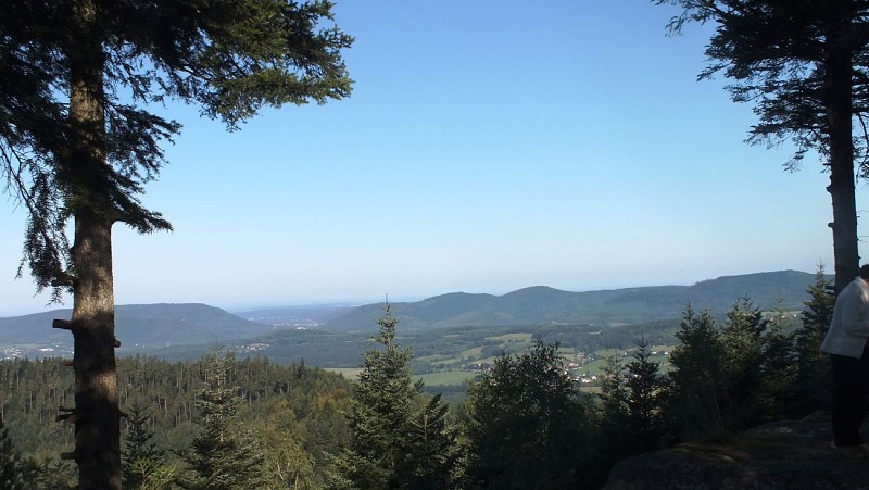 VTT n°10 - La Nar'Vall