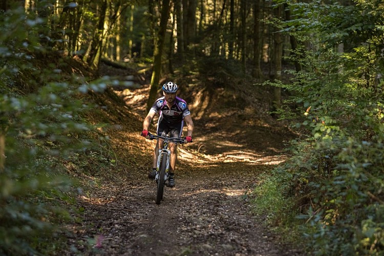 VTT n°8 - La Vall'Dingue