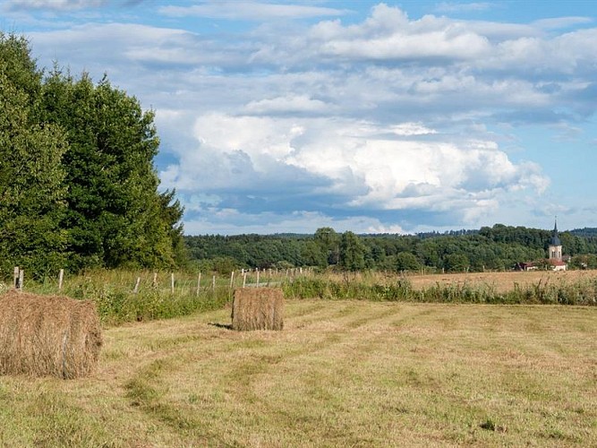 GEOCACHING - LE TRESOR DE L'ARENTELE