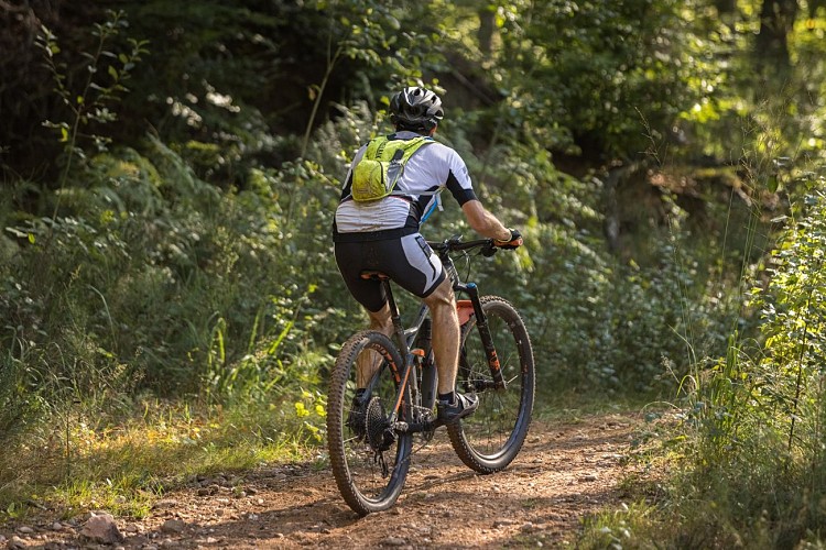 VTT n°2 - La Vall'Heureuse