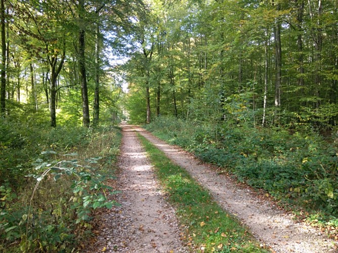 N°3 : the castle's loop