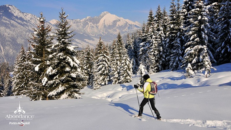 Randonnée raquettes "Les chalets d'Autigny" à Abondance