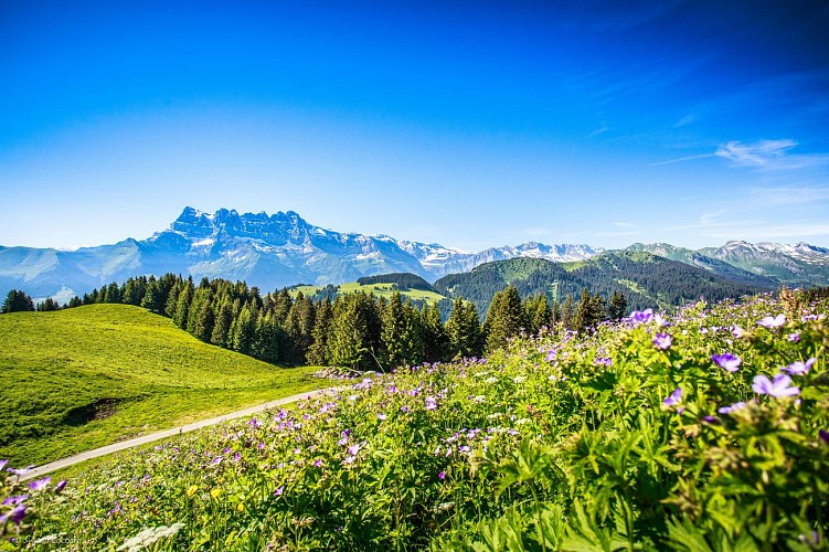 Trail running Portes du Soleil