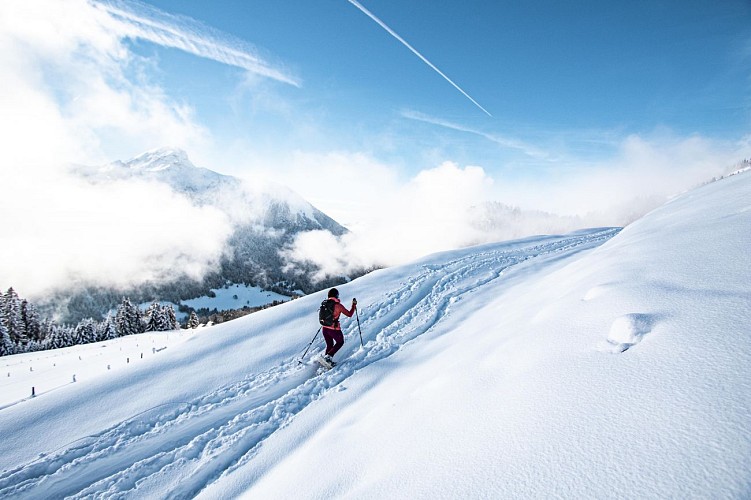 Itinéraire Raquettes