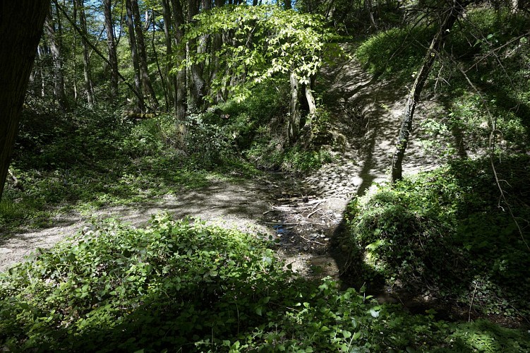 Circuit du Bataillard