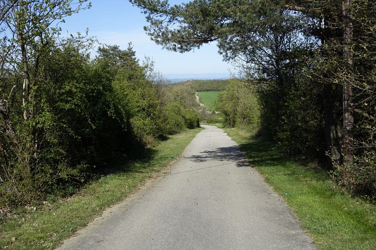 Circuit du Bataillard