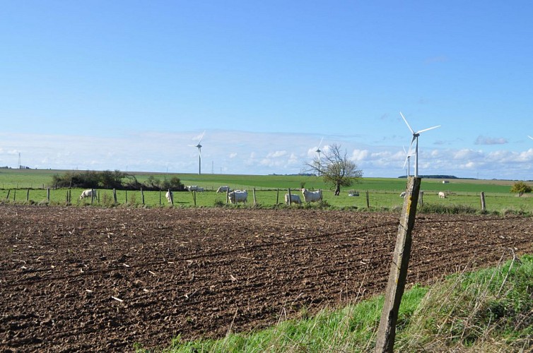 Circuit Entre Moulins d'Hier et d'Aujourd'hui