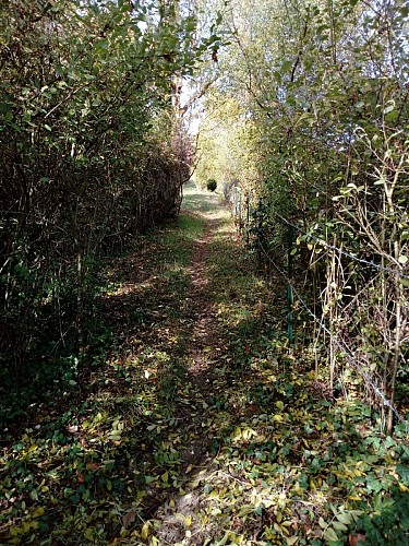 circuit du Bois du Gros Chêne