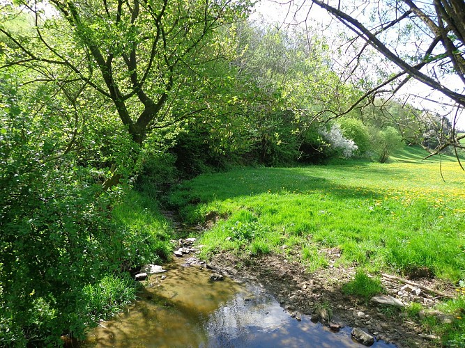 Parcours: "Dison, parcours historique et architectural"