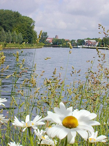 Deûle-Uferweg von Wambrechies nach Quesnoy-sur-Deûle