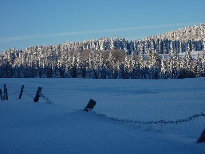 Le petit Belieu N°7