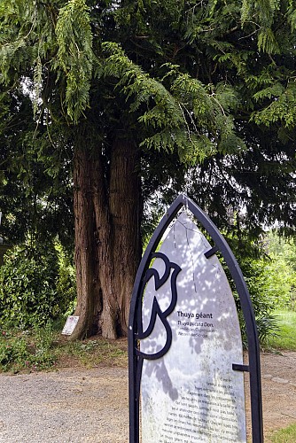 PONTMAIN - Sentier d'interprétation de l'Arboretum