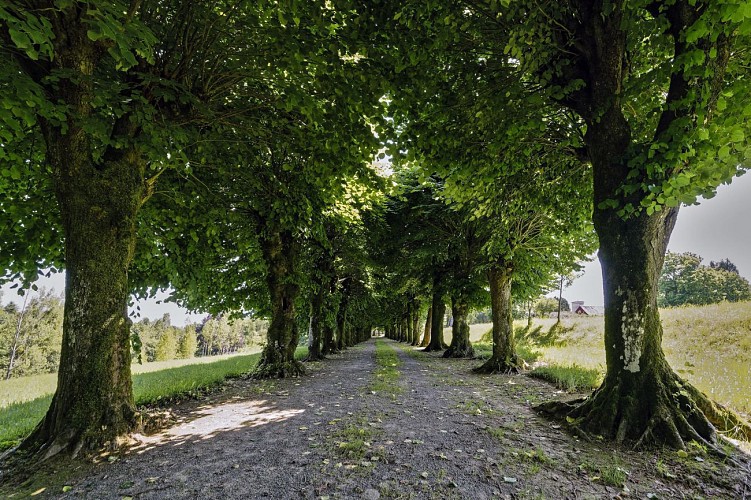 PONTMAIN - Sentier d'interprétation de l'Arboretum