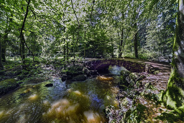 PONTMAIN - Sentier d'interprétation de l'Arboretum