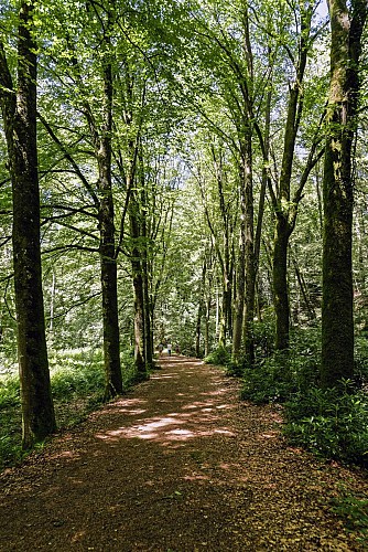 PONTMAIN - Sentier d'interprétation de l'Arboretum
