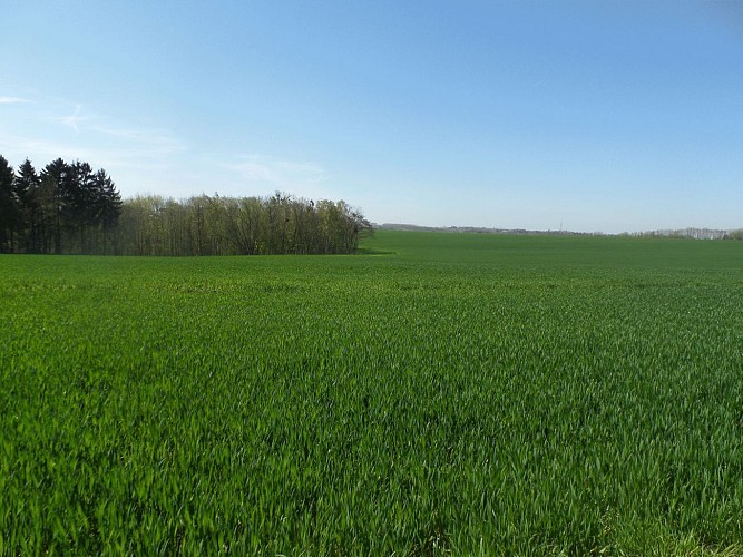 Autour du château de Haultepenne (Flémalle)