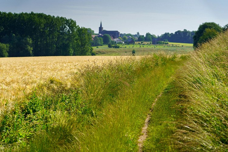 MTSO_Sombreffe_25062019_0024