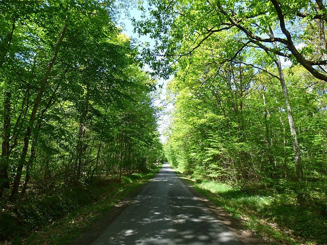 Circuit des Bois Fandeux, Bilordes et les Râteliers