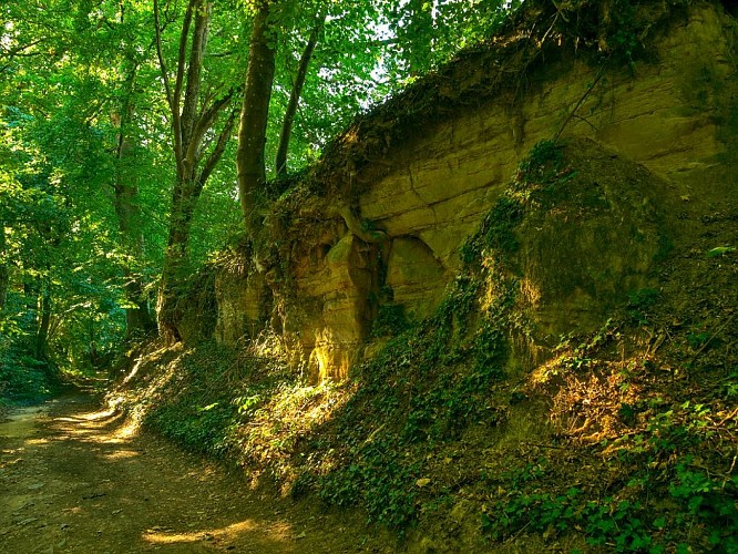 Chemins bordés d'affleurements gréseux