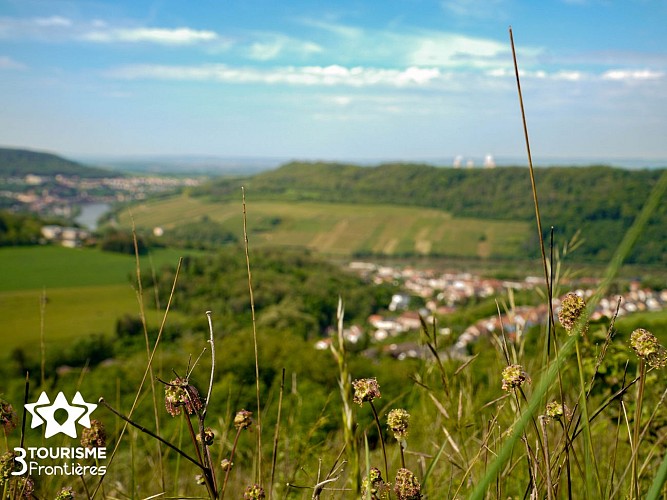 Hammelsberg-Rundfahrt