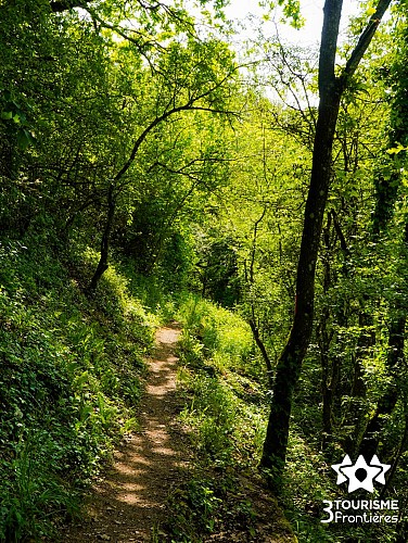 Hammelsberg-Rundfahrt