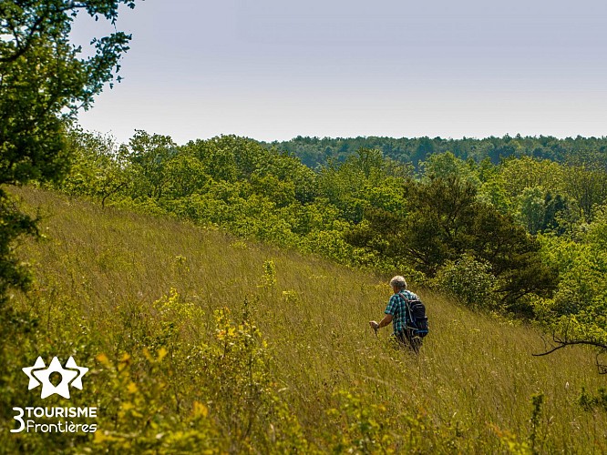 Circuit du Hammelsberg