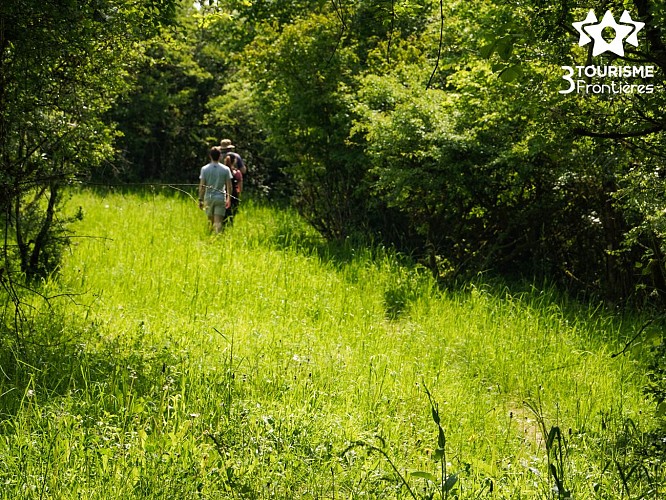 Circuit du Hammelsberg