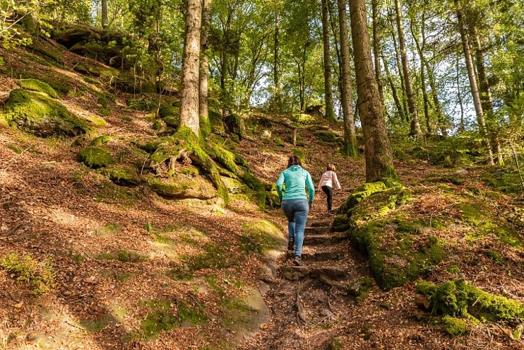 Circuit de la borne Saint-Martin