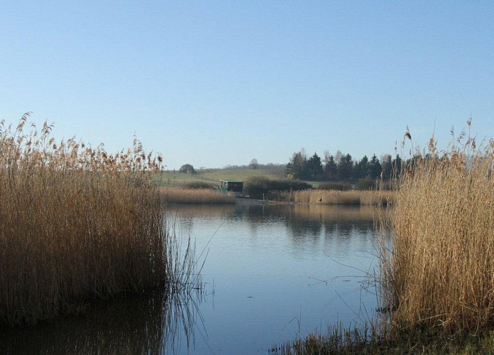 Rundgang durch die Wasser-Maginot-Linie