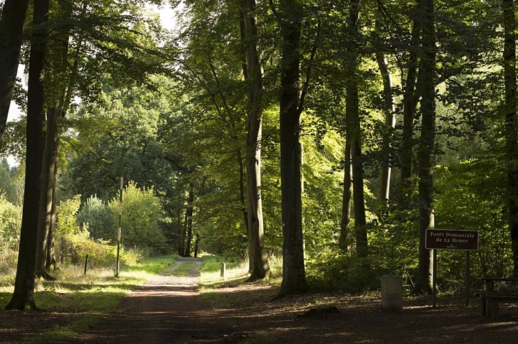 Schleife der Kuckucksuhren