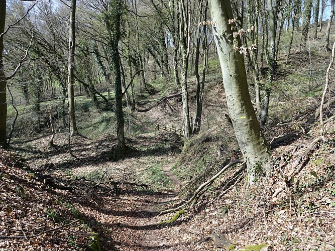 Schleife der Kuckucksuhren