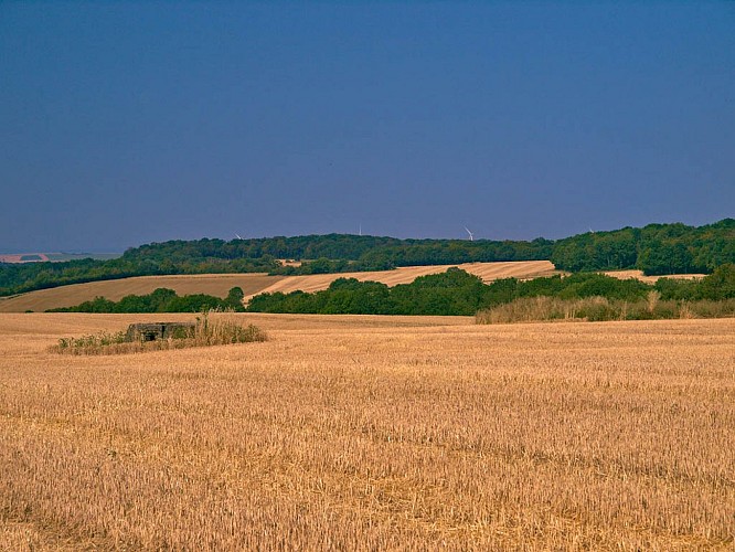 Bambesch-Tal-Rundweg