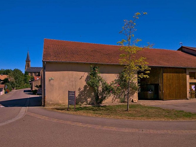 Village de Mécleuves