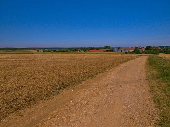 Côte sud de Mécleuves