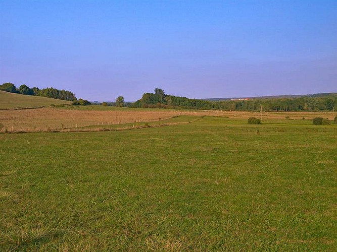 Paysage champêtre