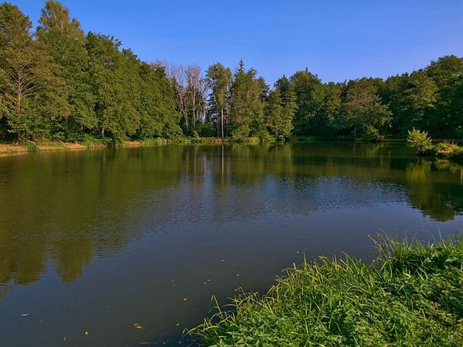 Étang du moulin des cailloux