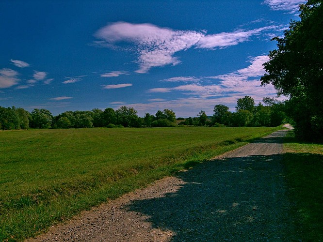Von einem Nied zum anderen
