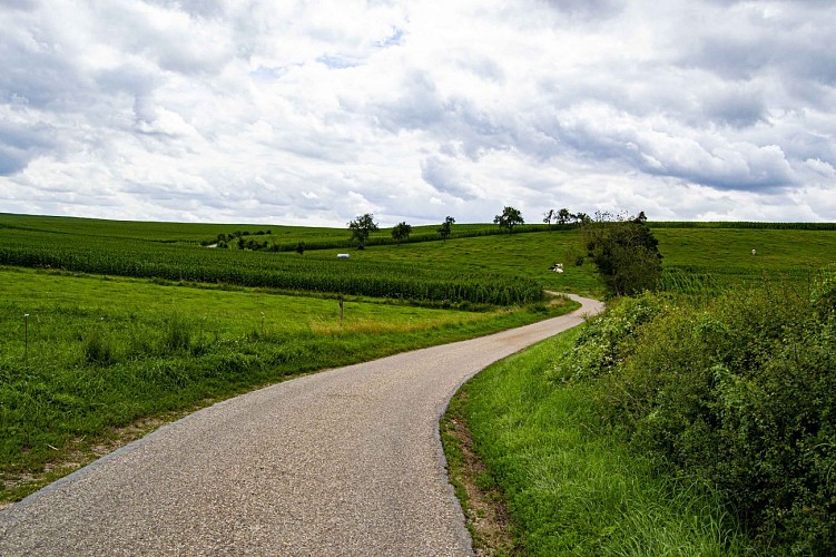 Route, Kirsch-les-Sierck