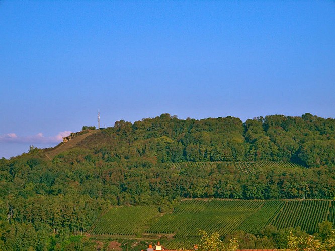 Le Stromberg, depuis Rustroff