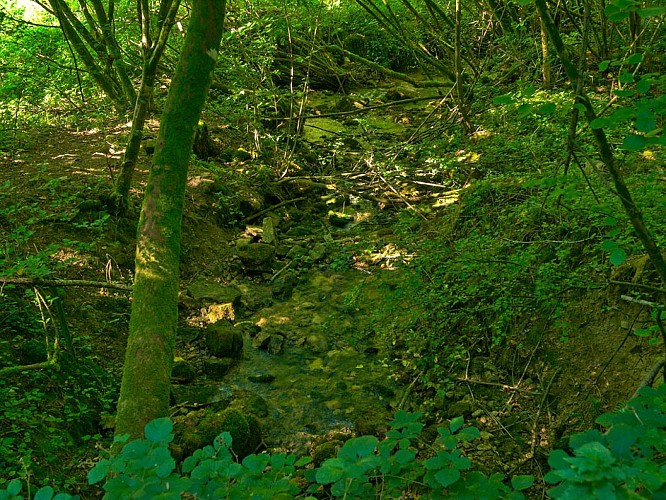 Huchsprung, sud de Manderen
avec sa source