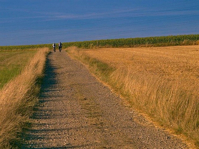 Chemin vers la Vierge à l'enfant, nord-est de Villers-Laquenexy